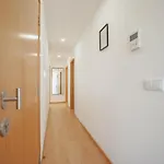 Modern & Stylish By Vacationy بورتو
